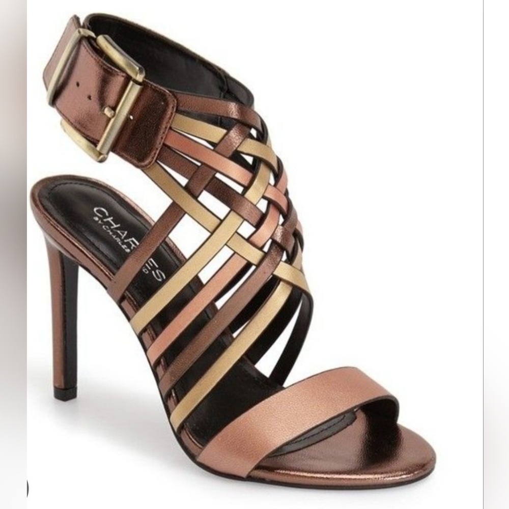 NWOT Charles by Charles David Isabel Sandal